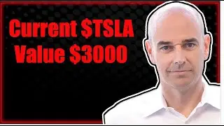Tesla Optimus Bot Numbers; Cern Basher Nails the Elon Update; Tesla Wealth Issues