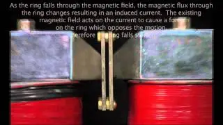 Ring Falling in a Magnetic Field