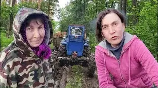 ЖИЗНЬ  НА  ПРИРОДЕ  В  СЕЛЕ