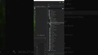 Add effects in Premiere pro (2024)  #adobepremierepro #photoshop #premierprotutorial
