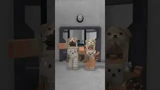 BOOGIE BOOGIE With My Girlfriend…