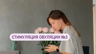 СТИМУЛЯЦИЯ ОВУЛЯЦИИ #3 Часть 2.