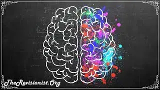 The Role of the Dentate Gyrus in Spatial Navigation, Pattern Completion & Separation, and Mood