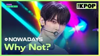 NOWADAYS, Why Not? [THE SHOW 240903]