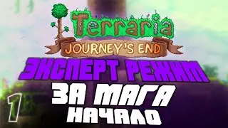 Время приключений! Прохождения Terraria 1.4 за мага #1(эксперт режим)