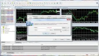 Обучение MetaTrader 4: Настройка терминала - Сервер