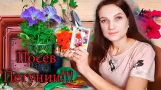 ✔Как посадить 🌺ПЕТУНИЮ зимой: 2 способа! Посев ПЕТУНИИ на рассаду🌱 по СНЕГУ!  НЕБЫВАЛЫЙ ЭКСПЕРИМЕНТ!