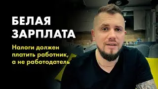 Белая и серая зарплата. Налоги на зарплату. Отчисления за работников.