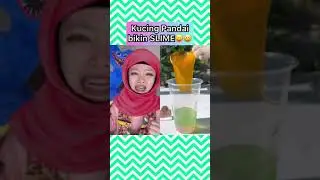 Kucing main masak masakan ! Aneh T