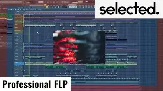 Professional Selected. FLP (stock plugins + serum) - 