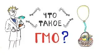 Что такое ГМО?