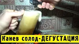 🍺Домашнее пивоварение-Канев односолодовое пиво- Дегустация #Hiking UA