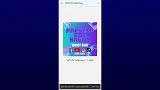 Tutorial de instalacion de presets de Lightroom desde la pagina web🤳✌