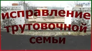 Что делать с трутовкой Семья трутовка Объединение пчёл с трутовкой Исправляю семью трутовку