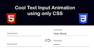 Make a cool looking Text Input Animation with CSS in 2 minutes