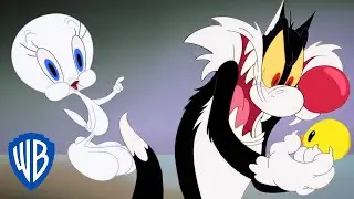 Looney Tunes | Sylvester Catches Tweety?!?! | WB Kids