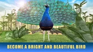 🐦👍Peacock Simulator 3D-Симулятор павлина-By Wild Animals Life-Android