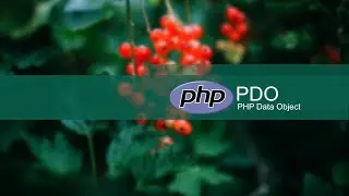 How To Use PDO (PHP  Data Objects) to Integrate MySql Database | PHP Object Oriented Programming