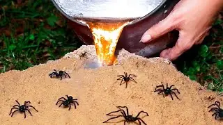 На Логово Пауков Вылили Расплавленный Алюминий