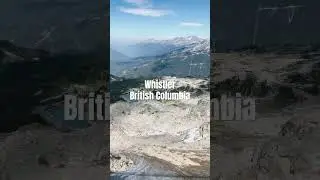 Would you walk across this bridge?  #shorts #peaksuspentionbridge #whistler