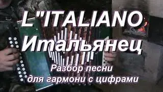 Итальянец L"italiano (гармонь)