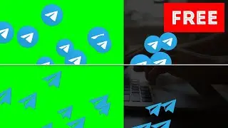 Telegram Icon/Logo Animated green screen, alpha channel free download