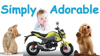 2 Clicks Out: Honda Grom Fully Upgraded Suspension Setup