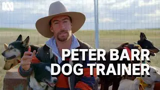 Gifted dog trainer Peter Barr | Muster Dogs