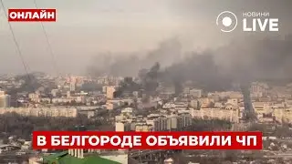 🔥ГЛАВНЫЕ НОВОСТИ 15.08: в Белгороде РФ ЧРЕЗВЫЧАЙНОЕ положение. Повторит судьба Курска? День.LIVE