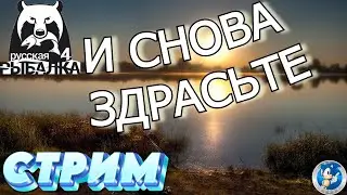 🌟ВСЕМ ПРИВЕТ. ПРОВЕРКА СВЯЗИ 🌟Русская Рыбалка 4(РР4)🌟