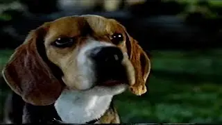 Cats & Dogs: Lou Confronts Butch (2001) (VHS Capture)