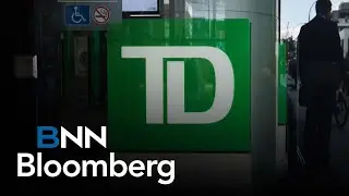 TD got caught in money laudering scandal: portfolio manager