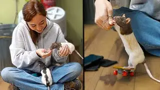 Maya teaches the rats some SICK skateboard tricks at Alveus