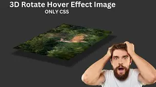 3d animation css | image hover effects | image 3d effects css