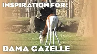 3 Real Dama Gazelle Habitats! (Planet Zoo: Arid Animal Pack Inspiration)