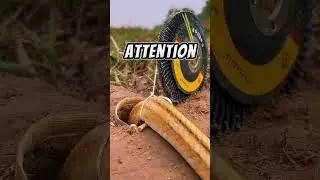 The best DIY snake trap ever created #amazing #diy #snake #animals