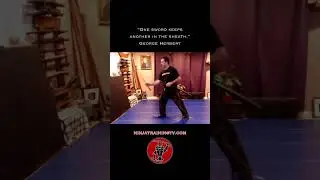 Katana Sword Play with Earth Form, #shorts #ninja #samurai #martialarts