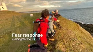 Fear response: A biological inquiry