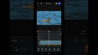 How to reverse video in VN Video Editor ?