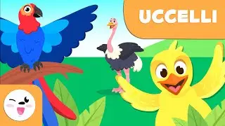 Gli uccelli per bambini - Animali vertebrati - Scienze naturali per bambini