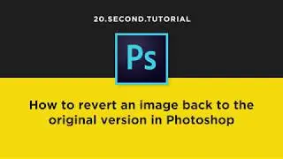 Reset to the original image with the History Panel in Photoshop | Adobe Photoshop Tutorial #7