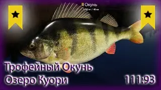 РР4 КУОРИ ТРОФЕЙНЫЙ ОКУНЬ / РУССКАЯ РЫБАЛКА 4 КУОРИ ТРОФЕЙНЫЙ ОКУНЬ