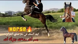 # فلوق (85) طريقة التحكم في الخيل الحاره🔥👌