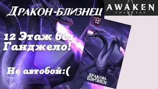 Awaken Chaos Era: Дракон-Близнец 12 этаж без Ганджело!