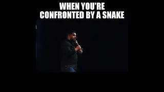 How to identify a dangerous snake- comedy by comedian Masood Boomgaard