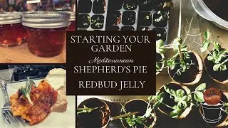 Shepherd's Pie, Basics on Starting Tomatoes with KSU (Seed Planting & More) and Redbud Jelly (#1103)