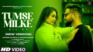 Cover: Tumse Milke Dil Ka - New Version | Cover Song 2024 | Romantic Hindi Song | Video Song