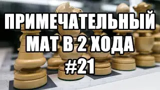 Шахматные задачи мат в 2 хода. Выпуск №21. Шахматы задачи. Решение задач. Мат в два хода.