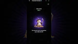 Hamster Kombat Daily Combo 16 August | Daily Combo Hamster Kombat | Oracle Card Unlock