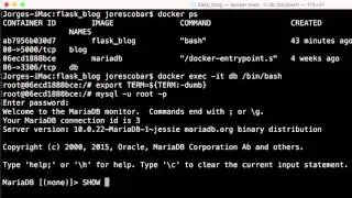 Using Docker with a Flask Application - Setting Up DB (9/10)